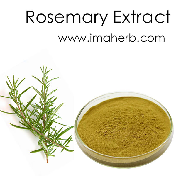 Aogubio Supply Rosemary Extract Carnosic Acid/rosmarinic Acid/ursolic Acid