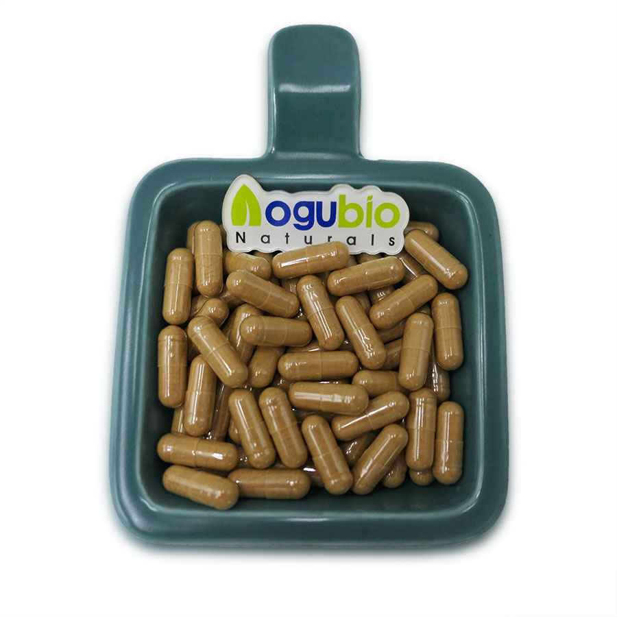 100% natural fadogia agrestis extract powder/ fadogia agrestis capsules