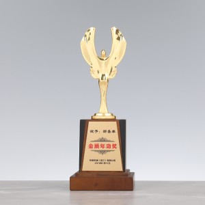 Customized Metal Trophy mu logo iliyonse, kumaliza kulikonse