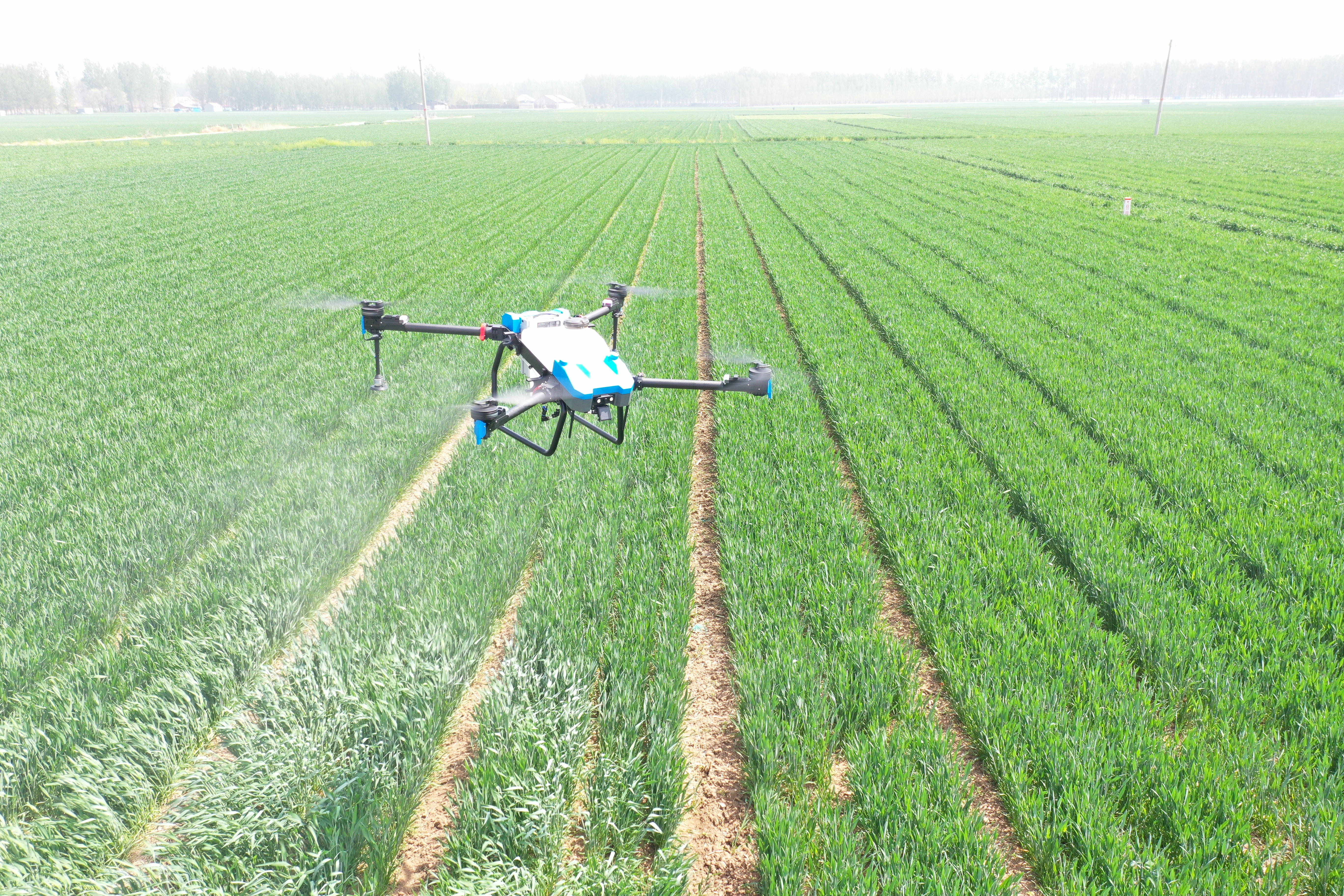 هواپیماهای بدون سرنشین حفاظت از گیاهان انگیزه جدیدی برای توسعه کشاورزی به وجود می آورند