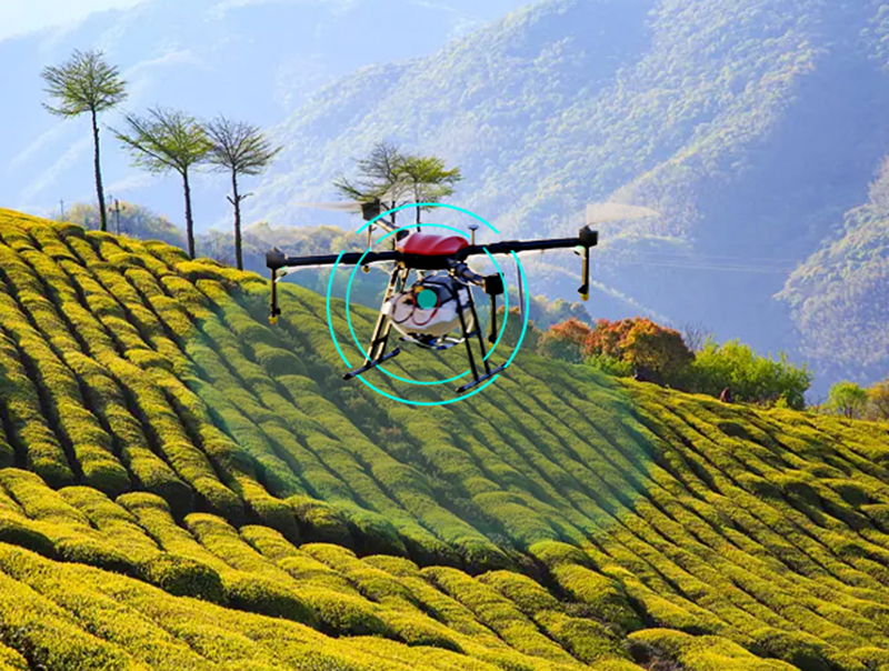 Drones lead innovation in agriculture