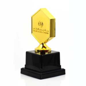Marathon Sports Award Medaillon Benotzerdefinéiert Qualitéit 3D Gravure Metal Blank Trophy Award Plaque Golden Star Trophy Cup