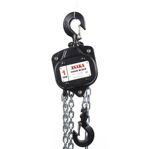 Fast delivery Bst Chain Block - Best Price High Quality 2T Chain Hoist for lifting – ASAKA