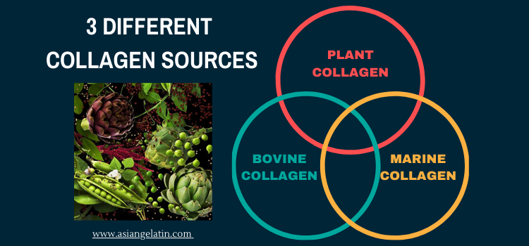 U Collagenu da u Collagenu di a pianta hè più sanu?