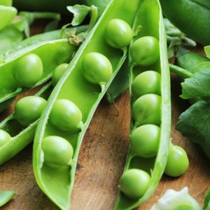 Good User Reputation for Type 5 Collagen - Pea peptide – Yasin