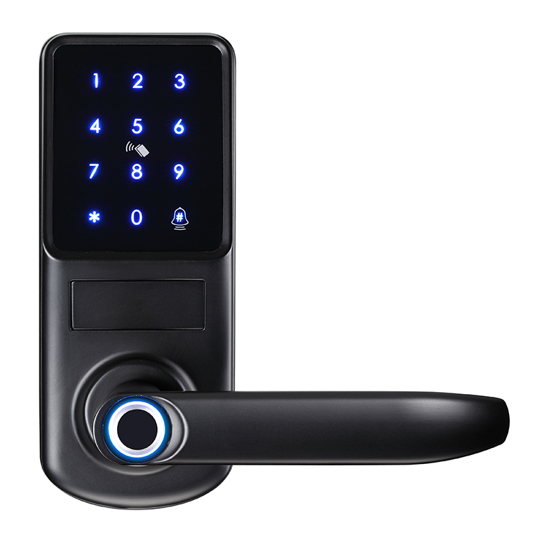 Anti Scratch Wifi Tuya App Biometric fingerprints Keypad Porta sursum