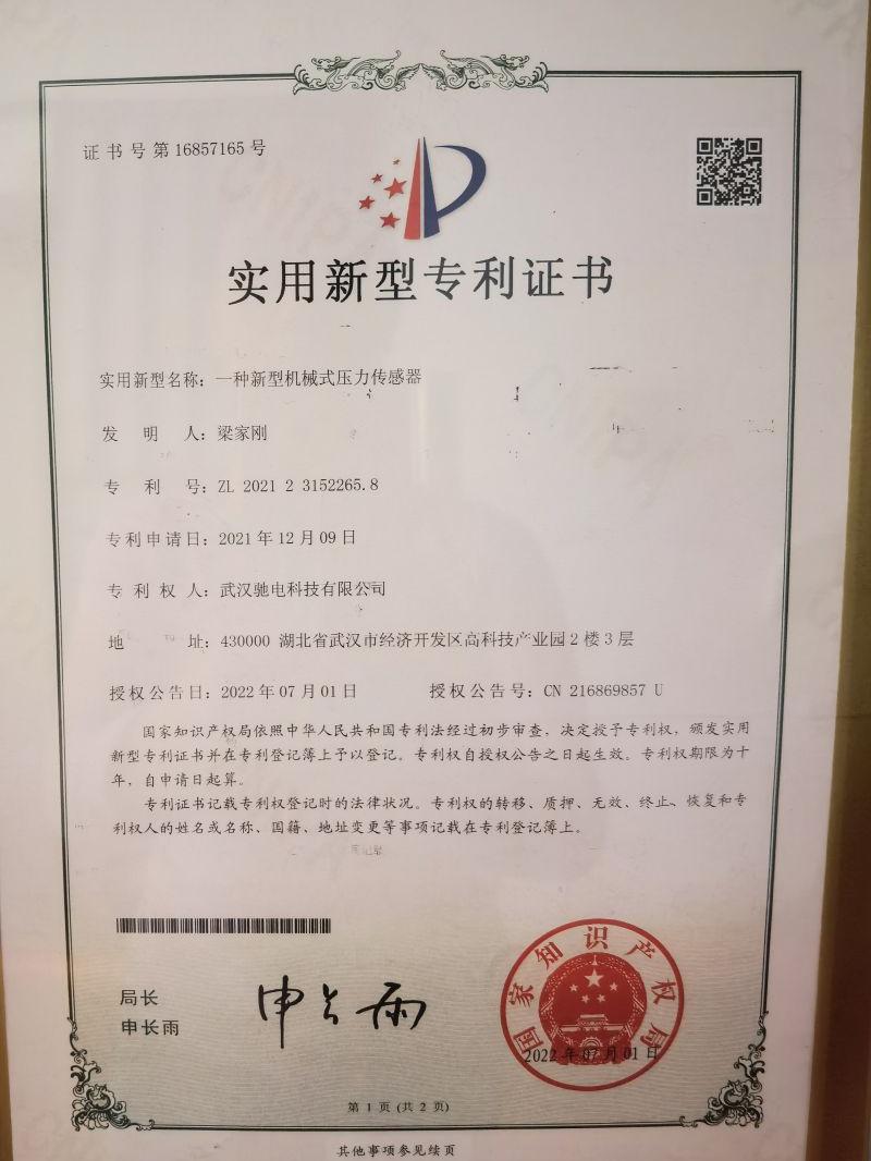 сертификат (21)