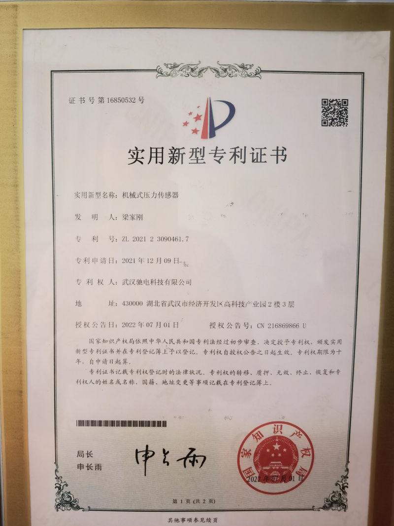 сертификат (22)