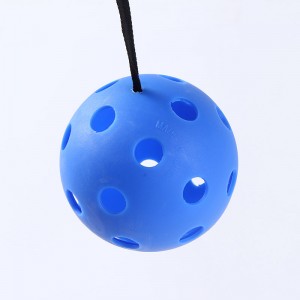 Sensory Integration Indoor Toy Catch Ball Set