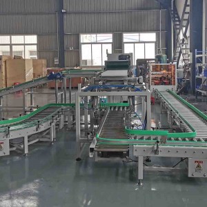 Case Packer Machine For Pouches