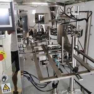 GPB6 Premade Pouch Rotary Fill & Seal Packing Machine