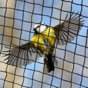 Xarxa anti-ocells 100% HDPE verge Caça per a l'agricultura de jardineria i balcó de la millor qualitat personalitzada