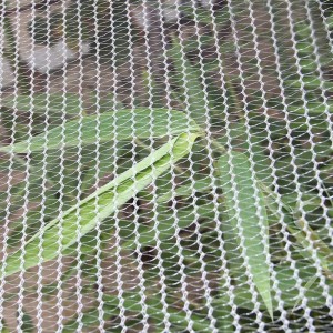 Градастойкія сеткі 100% HDPE вязаная тканая сетка белага колеру для агарода і пладовых дрэў