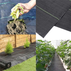 stuoia di controllo delle erbacce/tessuto di copertura del suolo/barriera infestante per materiale agricolo pp/pe personalizzato