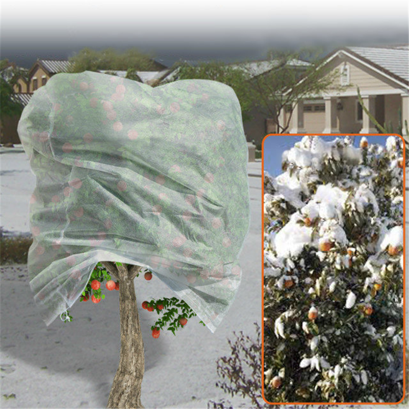 Tree Cover bez tkaného vrecka na ovocný strom Odporúčaný obrázok