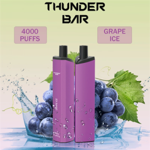 OEM Thunder Bar 4000 Puffs Mesh Coil USB վերալիցքավորվող միանգամյա օգտագործման գոլորշի