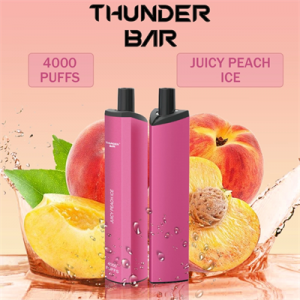 OEM Thunder Bar 4000 Puffs Mesh Coil USB Uppladdningsbar engångsvape
