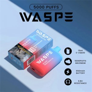 លក់ក្តៅ គុណភាពល្អ Bc5000 puff Waspe Zooy Disposable Vape