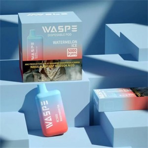 ଗରମ ବିକ୍ରୟ ଭଲ ଗୁଣବତ୍ତା Bc5000 puff Waspe Zooy Disposable Vape |