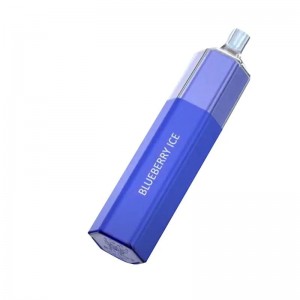 2022 Hot Selling E Ndudu 5% Nicotine Disposable Vape Pen 10flavors 2100 Puffs Disposable Vape Wholesale Disposable Vape