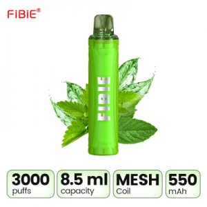 FIBIE 3000 хийсвэр 5% никотины нэг удаагийн вап цэнэглэдэг электрон тамхи
