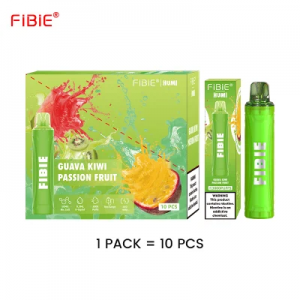 FIBIE 3000 पफ 5% निकोटीन डिस्पोजेबल व्हेप रिचार्जेबल ई-सिगारेट