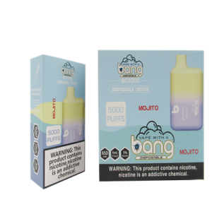 5000 Puffs Bang Box Mga Electric Cigarettes Rechargeable Disposable Vape