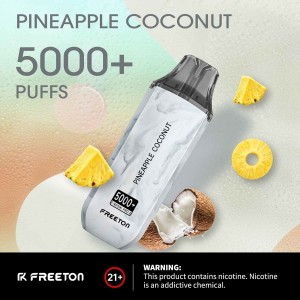 F-Resin Pro 2 Freeton Stunning Vaping Box 5000puffs Nicotin Salt