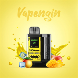 Оптовая продажа одноразовых электронных сигарет Vapeman5500 затяжек Vapengin Box Vape
