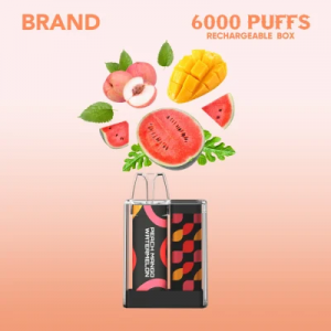 6000 Puffs Mesh Coil OEM Flavors Elektronisk sigarett engangsvapes