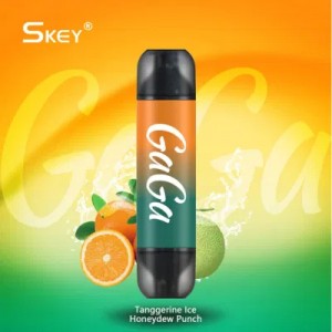 7000 Puff Skey Gaga Type-C Charging Wholesale Vape
