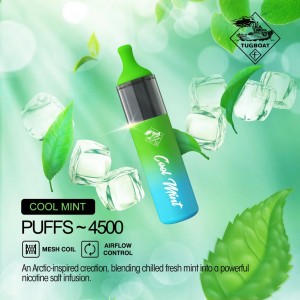 Õhuvoolu juhtpuksiiri ühekordselt kasutatav uusim seade 4500 Puffs Puksiir Evo Vape Juice