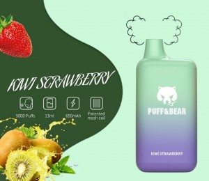 Çin Shenzhen Vape E Sigara Puff & Bear Yeni Buharlaştırıcı 5000 Puffs Meyve Suyu Aroması Tek Kullanımlık Vape