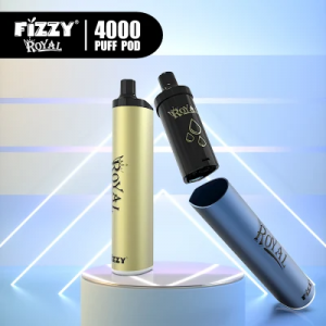 Harga Pabrik Fizzy Royal 4000puff Mesh Coil Rechargeable Type-C Disposable Cigarette Vape Pen Pods