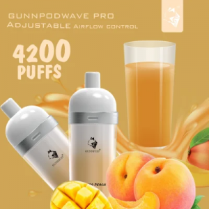 Gunnpod Wave pro Pod Vape Pen 4200 bouffées de cigarette électronique