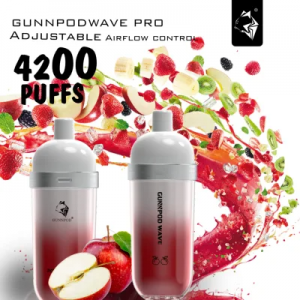 Gunnpod 웨이브 프로 포드 Vape Pen 4200puffs 전자담배