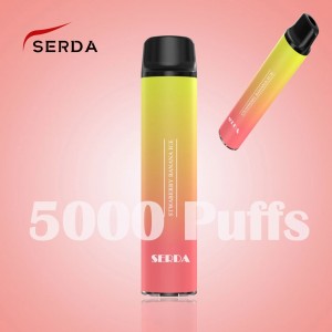 Ovale disposable 5000 puffs oplaadbare vape batterij mesh coil elektroanyske sigaret vape