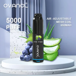 ორიგინალური დიზაინის OVANCL 5000 Puffs Vaporizer E სიგარეტის დამუხტვადი ჰაერის რეგულირებადი Vape კალამი