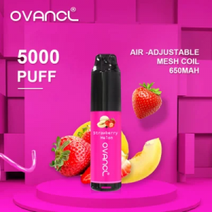 ኦሪጅናል ዲዛይን OVANCL 5000 Puffs Vaporizer E ሲጋራ ሊሞላ የሚችል አየር የሚስተካከለው Vape Pen