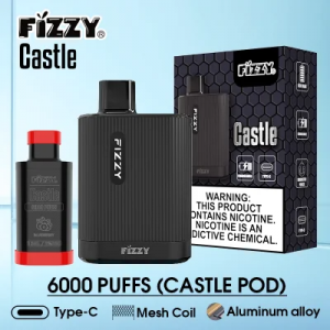 뜨거운 판매 Fizzy Castle 6000 퍼프 폐쇄형 포드 시스템 Type-C 일회용 E Vape