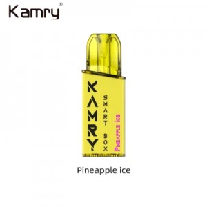 I-Kamry Smart Box Idizayini entsha ye-LED Display OEM 2ml E Liquid Vape Wholesale 600 Puff