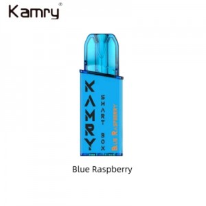 Kamry Smart Box Sabon Tsarin LED Nuni OEM 2ml E Liquid Vape Wholesale 600 Puff