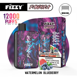 Fizzy Pandora 12000 Puff Disposable Vape 23 Flavors Electronic Cigarette