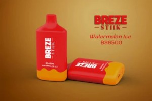 12가지 클래식 맛 전자 담배 Breze Stiik BS 6500 일회용 vape 포드