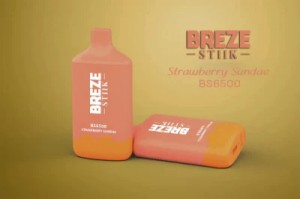 12가지 클래식 맛 전자 담배 Breze Stiik BS 6500 일회용 vape 포드