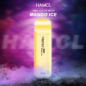 Wholesale Original Hamcl Biggest 5000 Puff 0% 2% 5% Nic Rechargeable Disposable Vape Pen Hookah