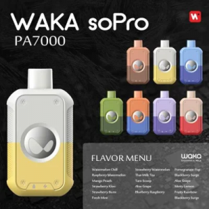 Original Waka Sopro PA7000 Einweg-Vape 7000 Puffs Ecig Vapor