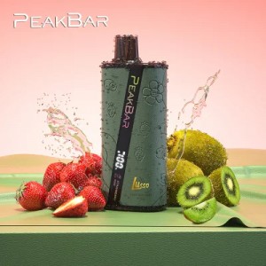Peakbar Lusso ចិនលក់ដុំ 8200 Puff 15 Flavors E-Cigarette Pen Hookah Disposable Vape