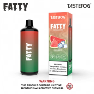 Popular Vape Tastefog Fatty 3200puffs Preço de atacado OEM e ODM Vape