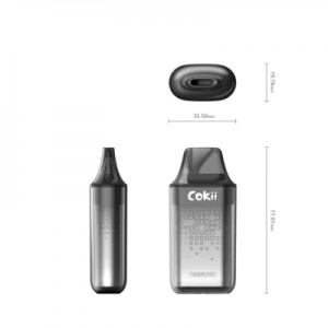 Mesh Coil Միանգամյա օգտագործման Vape Pen 1000 Puffs cokii Մեծածախ էլեկտրոնային ծխախոտ